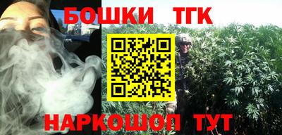 индика Анапа