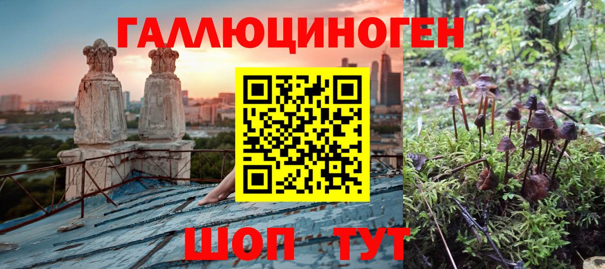 Горячий Ключ  где купить наркоту  Вход с VPN  Псилоцибиновые грибы мухоморы 